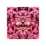 Tickled Pink - Fuchsia-Orchideen-Op-Art-Print / Leinwand, 12x12’’ / 31x31cm / Ohne Rahmen / Weißer Rand, Poster, Drucke & visuelle Kunstwerke, Toby Leon