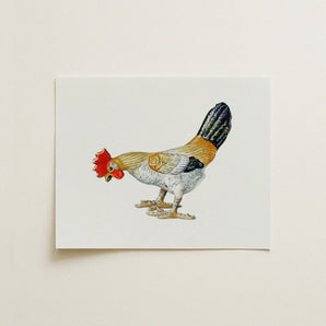 Toy Rooster - Lillian Hunter 1930s Kitchen Art Print / Canvas Detailed Watercolor Illustration Vibrant Red Comb Wattle, Vintage Vignette