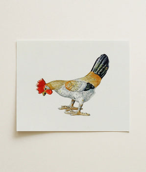 Detailed Watercolor Illustration Rooster Vibrant Red Comb Wattle Lillian Hunter 1930s, Kitchen Art, Vintage Vignette