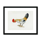 Toy Rooster - Lillian Hunter 1930s Kitchen Art Print, Colorful Rooster White Gold Black Feathers Red Comb