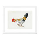 Toy Rooster - Lillian Hunter 1930s Kitchen Art Print, Colorful Rooster White Gold Black Feathers Red Comb