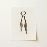 Trimming Shears - Harold Ballerd Farmhouse Art Print / Canvas, 12x16’’ / 31x41cm / Unframed / no Border, Posters Prints & Visual Artwork,