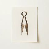 Trimming Shears - Harold Ballerd Farmhouse Art Print / Canvas Antique Bronze-colored Metal Scissors Circular Handle Worn Rusted, Agrarian
