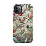 Trochilidae - Ernst Haeckel Hummingbird Phone Case Iphone 11 Pro Max / Matte Hummingbird-patterned Phone Case Haeckel Hummingbird,