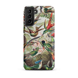 Trochilidae - Ernst Haeckel Hummingbird Phone Case Samsung Galaxy S21 Plus / Matte Vibrant Hummingbird-themed Intricate Illustrations