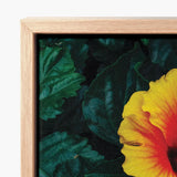 Vibrant Yellow Orange Hibiscus Flower Printed Canvas Framed Tropicanarama Art Print, Tropical