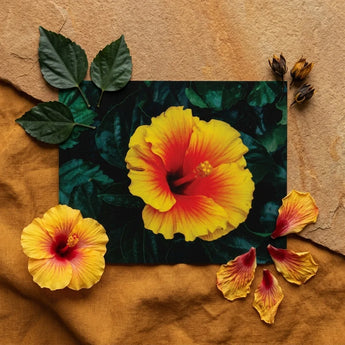 Tropicanarama - Tropical Hibiscus Art Print / Canvas Vibrant Yellow Red Flower Printed Dark Green, Prints