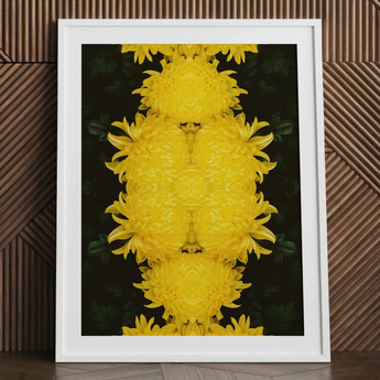Tweedledee - Golden Chrysanthemum Op Art Print / Canvas, 24x32’’ / 61x81cm / White Frame / Matboard, Posters Prints & Visual Artwork, Toby