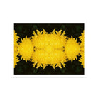 Tweedledee - Golden Chrysanthemum Op Art Print, Bright Yellow Chrysanthemum Flowers Arranged Symmetrical Pattern