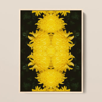 Tweedledee - Golden Chrysanthemum Op Art Print / Canvas, 12x16’’ / 31x41cm / Natural Frame, Posters Prints & Visual Artwork, Toby Leon