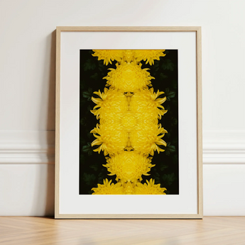Tweedledee - Golden Chrysanthemum Op Art Print / Canvas, 12x16’’ / 31x41cm / Natural Frame / Matboard, Posters Prints & Visual Artwork,
