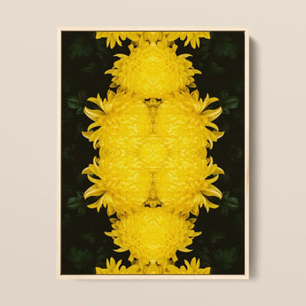 Tweedledee - Golden Chrysanthemum Op Art Print / Canvas Framed Artwork Symmetrical Kaleidoscopic Pattern Vibrant Yellow Chrysanthemums