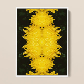 Tweedledee - Golden Chrysanthemum Op Art Print / Canvas Framed Artwork Symmetrical Mirrored Composition Vibrant Yellow Chrysanthemums