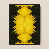 Tweedledee - Golden Chrysanthemum Op Art Print / Canvas Framed Artwork Symmetrical Vibrant Yellow Chrysanthemum Pattern Dark Floral