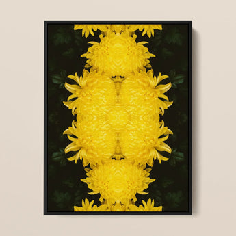 Tweedledee - Golden Chrysanthemum Op Art Print / Canvas Framed Artwork Symmetrical Vibrant Yellow Chrysanthemum Pattern Dark Floral