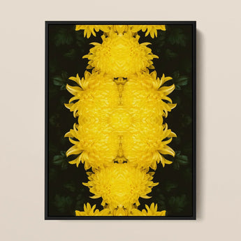 Tweedledee - Golden Chrysanthemum Op Art Print / Canvas Framed Artwork Symmetrical Vibrant Yellow Pattern Dark Floral Photography,