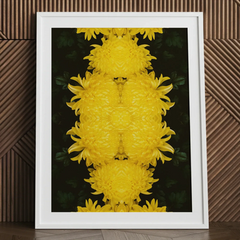 Tweedledee - Golden Chrysanthemum Op Art Print / Canvas Framed Artwork Symmetrical Vibrant Yellow Chrysanthemum Pattern Dark Floral