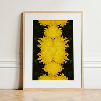Tweedledee - Golden Chrysanthemum Op Art Print / Canvas Framed Symmetrical Kaleidoscopic Pattern Vibrant Yellow Floral Photography,