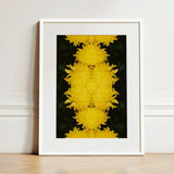Tweedledee - Golden Chrysanthemum Op Art Print / Canvas Framed Symmetrical Kaleidoscopic Pattern Vibrant Yellow Floral Photography,