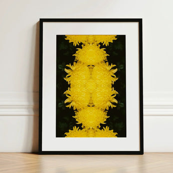 Tweedledee - Golden Chrysanthemum Op Art Print / Canvas Framed Symmetrical Kaleidoscopic Pattern Vibrant Yellow Floral Photography,
