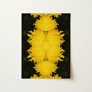 Tweedledee - Golden Chrysanthemum Op Art Print / Canvas Vibrant Yellow Flowers Arranged Symmetrical Mirrored Pattern Floral Photography,