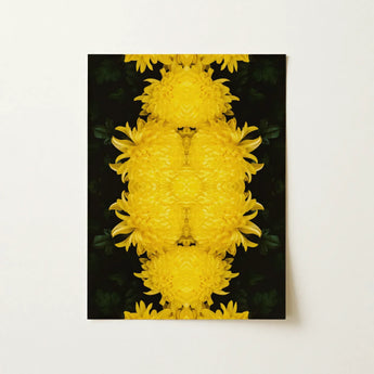 Tweedledee - Golden Chrysanthemum Op Art Print / Canvas Vibrant Yellow Chrysanthemum Flowers Arranged Symmetrical Mirrored Pattern Floral