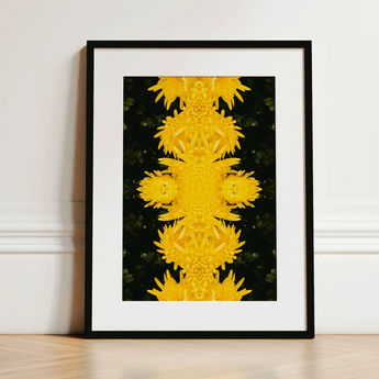 Tweedledum - Chrysanthemum Op Art Print / Canvas, 12x16’’ / 31x41cm / Black Frame / Matboard, Posters Prints & Visual Artwork, Toby Leon
