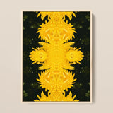 Tweedledum - Chrysanthemum Op Art Print / Canvas, 12x16’’ / 31x41cm / Natural Frame, Posters Prints & Visual Artwork, Toby Leon