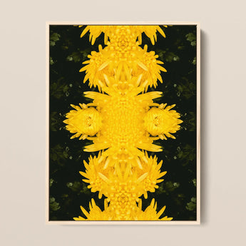 Tweedledum - Chrysanthemum Op Art Print / Canvas, 12x16’’ / 31x41cm / Natural Frame, Posters Prints & Visual Artwork, Toby Leon
