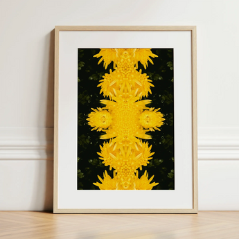 Tweedledum - Chrysanthemum Op Art Print / Canvas, 12x16’’ / 31x41cm / Natural Frame / Matboard, Posters Prints & Visual Artwork, Toby Leon
