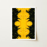 Tweedledum - Chrysanthemum Op Art Print / Canvas Vibrant Yellow Floral Symmetrical Kaleidoscopic Design Avant-garde, Golden Blooms