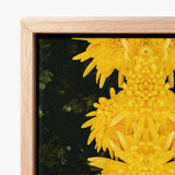 Vibrant Yellow Floral Canvas Print Symmetrical Mirrored Design Avant-garde Chrysanthemum, Golden Blooms Pirouette, Photography Op Art