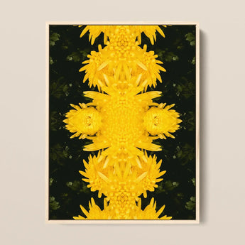 Tweedledum - Chrysanthemum Op Art Print / Canvas Framed Artwork Symmetrical Kaleidoscopic Pattern Vibrant Yellow Chrysanthemums