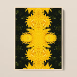 Tweedledum - Chrysanthemum Op Art Print / Canvas Framed Artwork Symmetrical Kaleidoscopic Pattern Vibrant Yellow Chrysanthemums Avant-garde