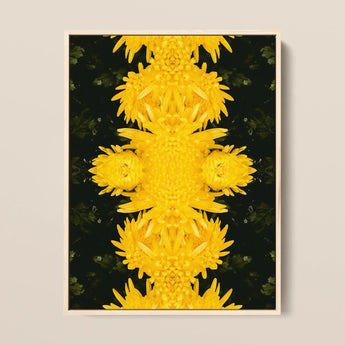 Tweedledum - Chrysanthemum Op Art Print / Canvas Framed Artwork Symmetrical Kaleidoscopic Pattern Vibrant Yellow Chrysanthemums Avant-garde