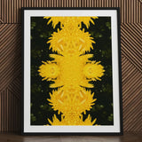 Tweedledum - Chrysanthemum Op Art Print / Canvas Framed Symmetrical Kaleidoscopic Pattern Vibrant Yellow Avant-garde, Golden Blooms