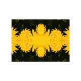Tweedledum - Chrysanthemum Op Art Print / Canvas Kaleidoscopic Pattern Bright Yellow Dandelion Flowers Arranged Symmetrically Avant-garde