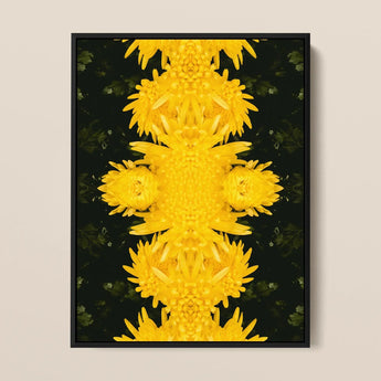 Tweedledum - Chrysanthemum Op Art Print / Canvas Vibrant Yellow Chrysanthemum Floral Artwork Sleek Black Frame Avant-garde Print, Golden