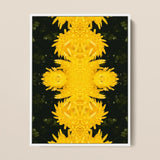 Tweedledum - Chrysanthemum Op Art Print / Canvas Vibrant Yellow Floral Symmetrical Kaleidoscopic Avant-garde, Golden Blooms Pirouette,