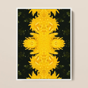 Tweedledum - Chrysanthemum Op Art Print / Canvas Vibrant Yellow Floral Symmetrical Kaleidoscopic Avant-garde, Golden Blooms Pirouette,