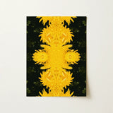 Tweedledum - Chrysanthemum Op Art Print / Canvas Vibrant Yellow Flowers Arranged Symmetrical Kaleidoscopic Pattern Avant-garde, Golden