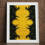 Tweedledum - Chrysanthemum Op Art Print / Canvas White-framed Symmetrical Kaleidoscopic Pattern Vibrant Yellow Avant-garde, Golden Blooms