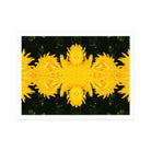 Tweedledum - Chrysanthemum Op Art Print, Kaleidoscopic Pattern Bright Yellow Dandelion Flowers Arranged Symmetrically