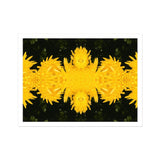 Tweedledum - Chrysanthemum Op Art Print / Canvas, 12x16’’ / 31x41cm / Unframed / White Border, Posters Prints & Visual Artwork, Toby Leon