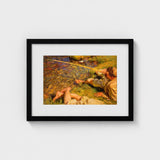 Val D’aosta a Man Fishing - John Singer Sargent Art Print / Canvas, Current, Runs, Shallow, Unknown, Prints