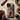 View Into a Venetian Canal - Giovanni Boldini Phone Case Iphone, Gondola Drifts, Water’s Secrets