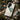 White-naped Crane - Numata Kashu Phone Case Kashu’s, Struts, Digital Realms