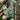White Roses - Vincent Van Gogh Phone Case, Cradle Post-impressionist Brilliance, Blooming Masterpiece