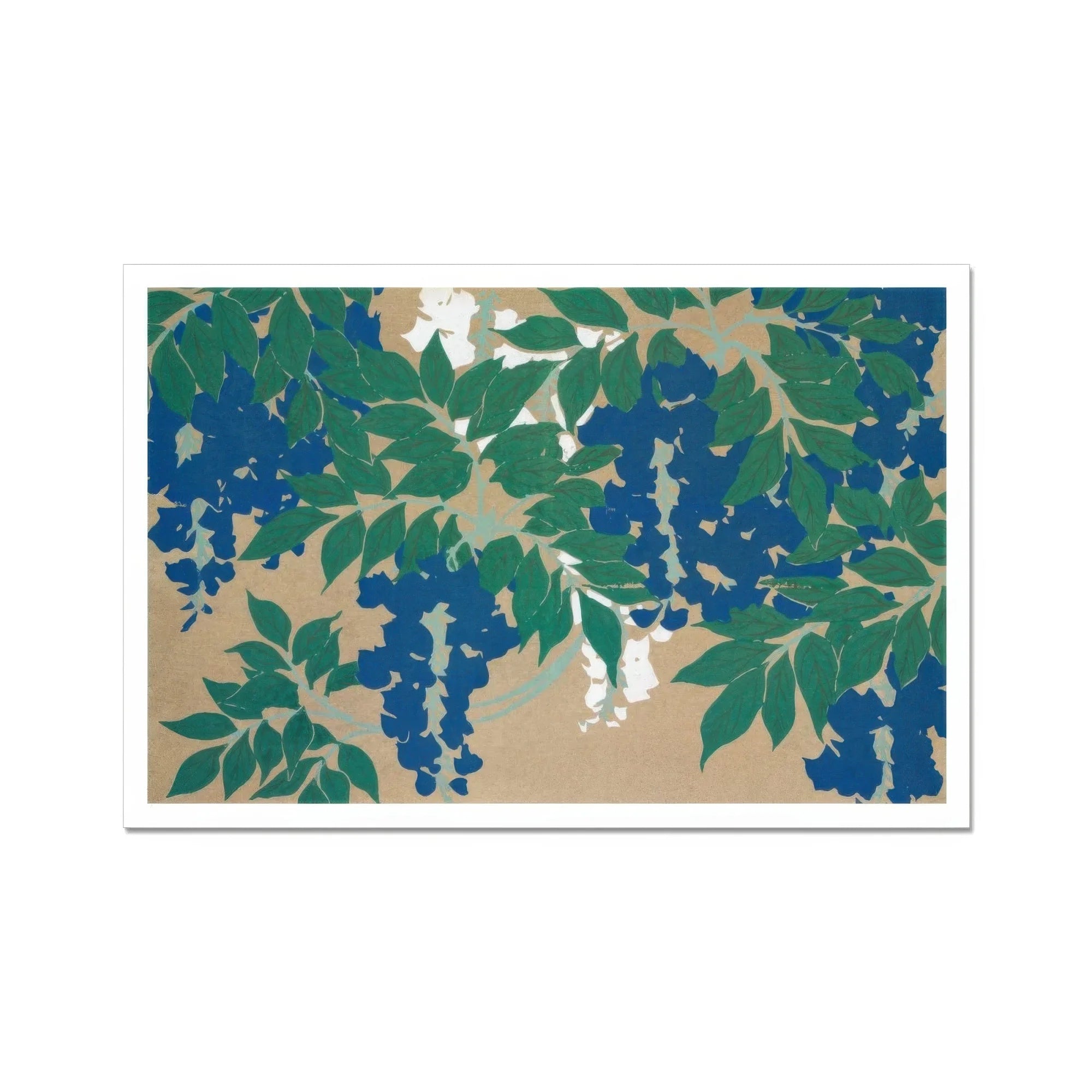 Wisteria from Momoyogusa - Kamisaka Sekka Art Print, Artistic Illustration Wisteria Branches Green Leaves Blue Flowers