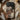 Woman with Pigeons - Gustave Courbet Phone Case Iphone, Meets Silence, Without Warning